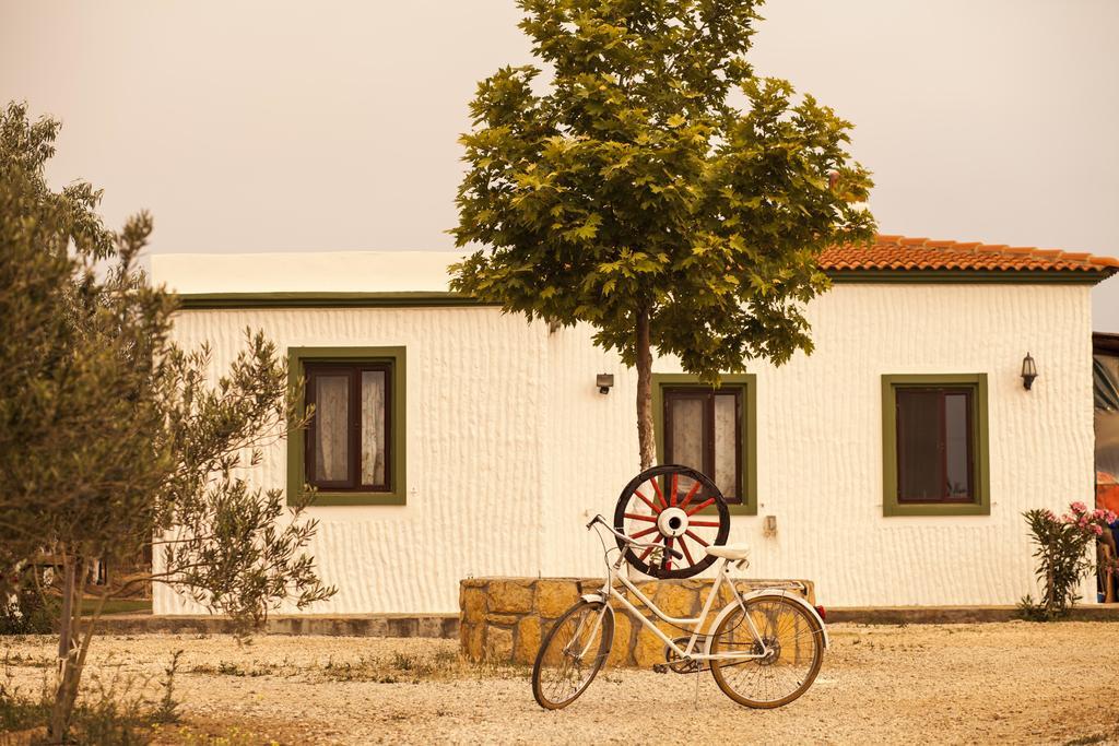 Bagban Bozcaada住宿加早餐旅馆 外观 照片